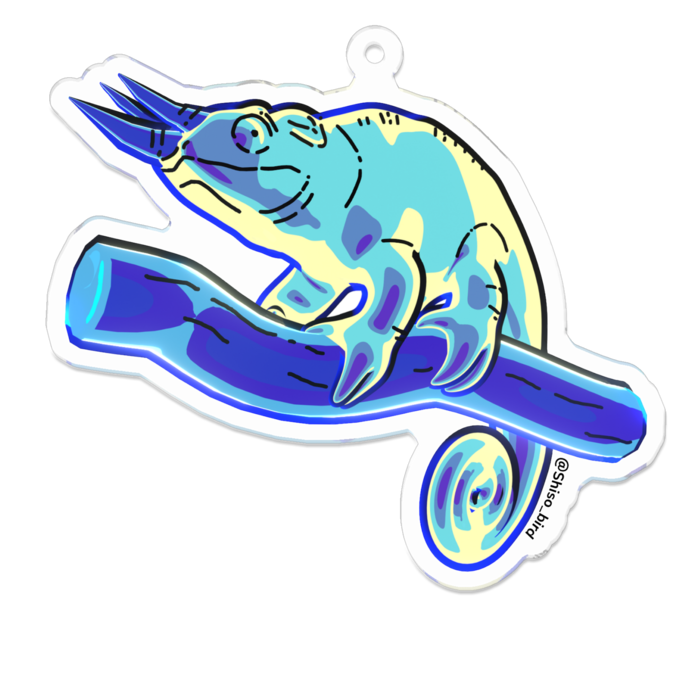 ブルー・イエロー