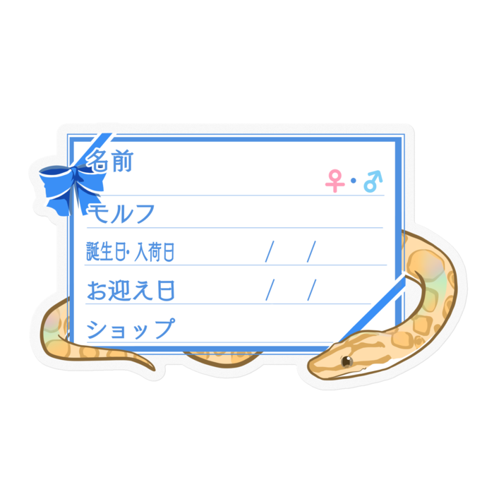 【🐍お名前ステッカー】コロニジ(パラディグマ) ‐リボン／ブルー