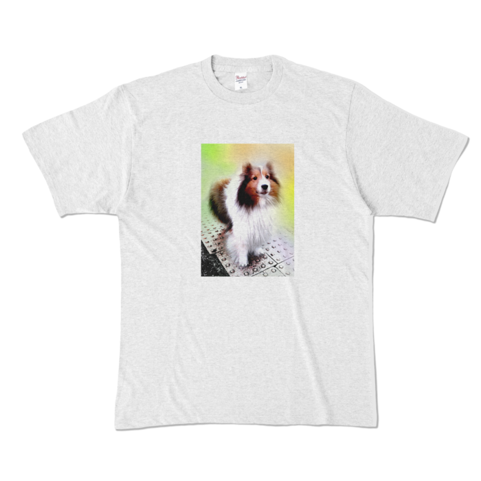 カラーTシャツ - XL - アッシュ (淡色)