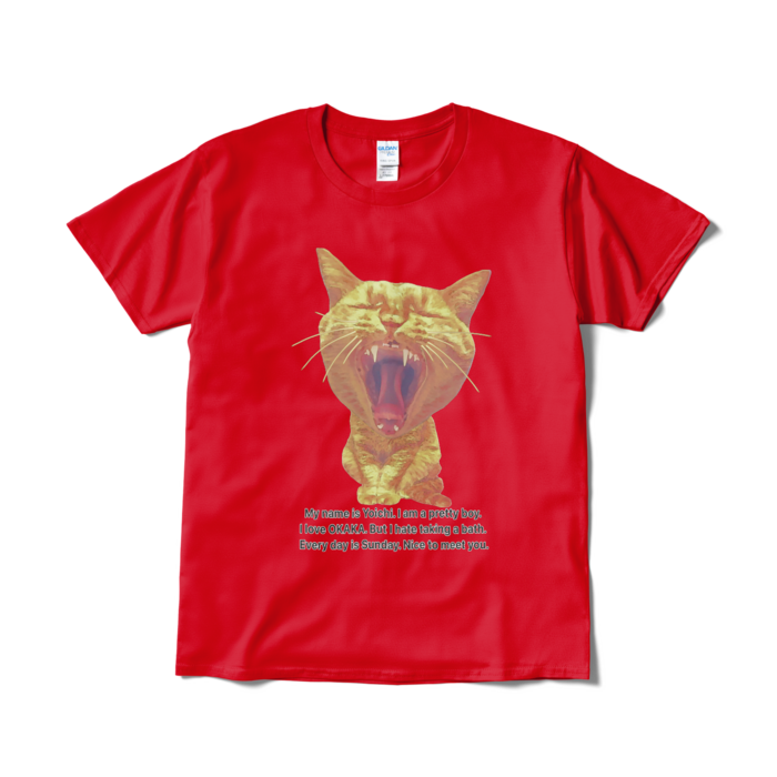 Tシャツ(短納期) - L - レッド