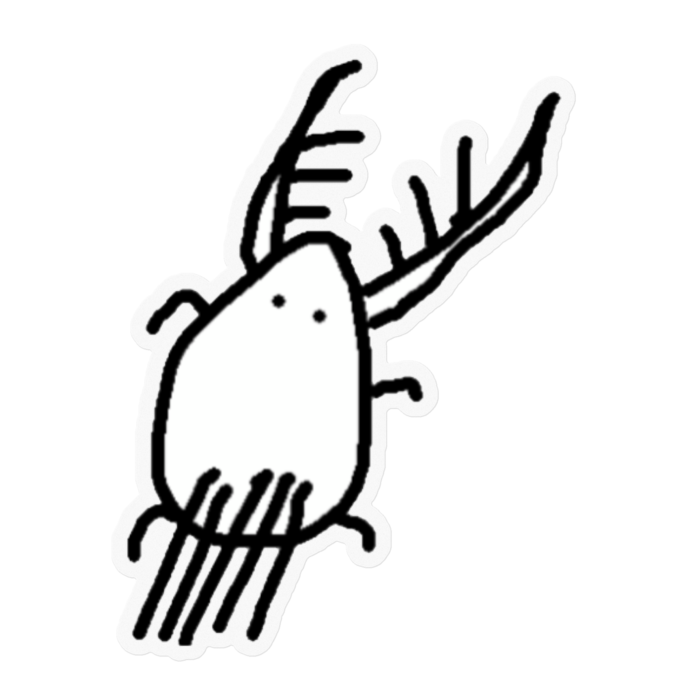 ステッカー - 100 x 100 (mm)