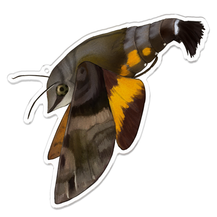 アクリルキーホルダー - 100 x 100 (mm)