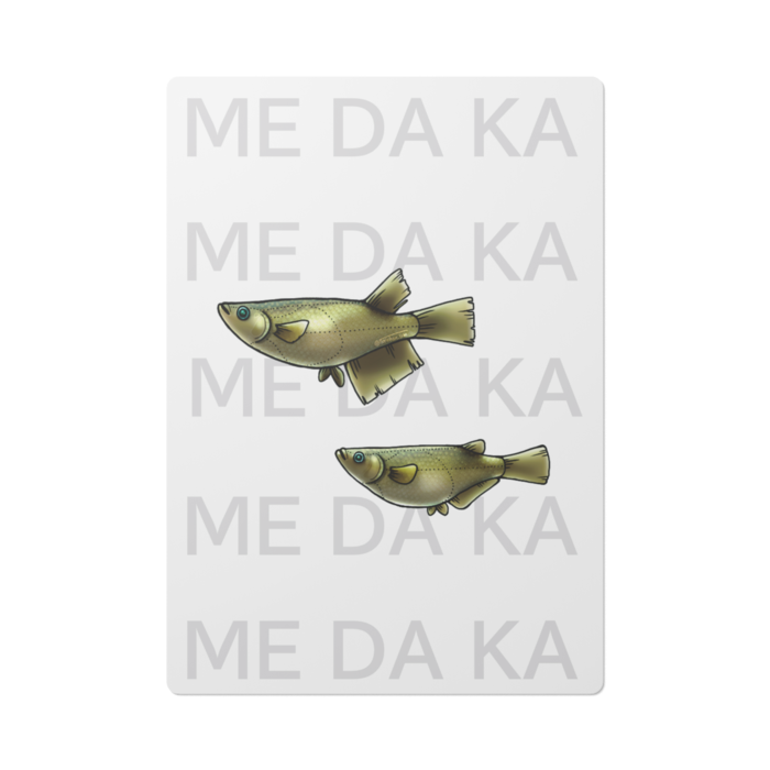 クロメダカ　ー　A4