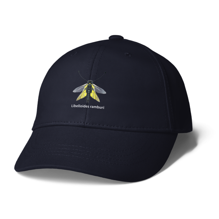 キャップ - ネイビー