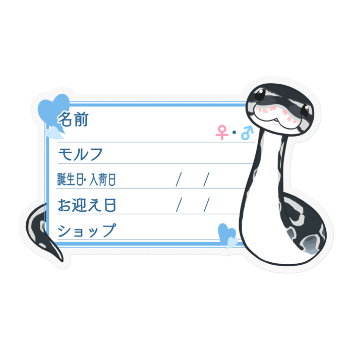 【🐍お名前ステッカー】ボールパイソン(アザン)-ハート／ブルー