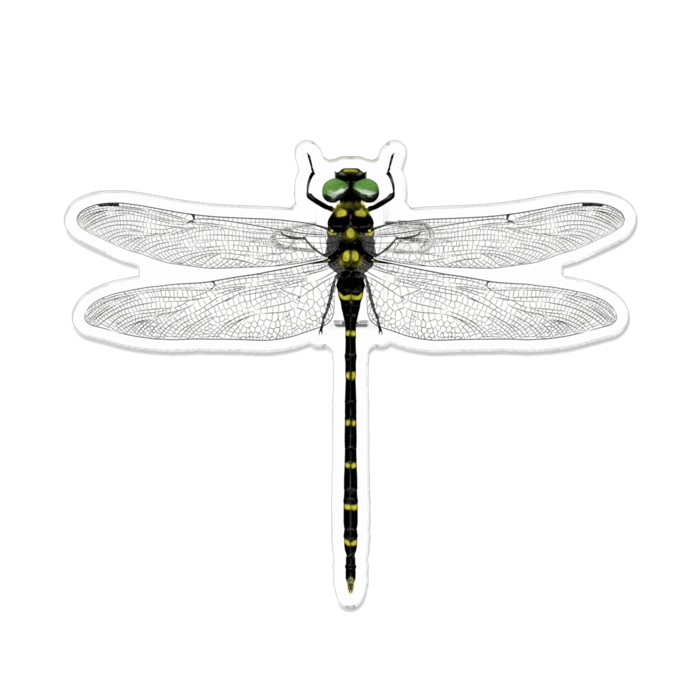 アクリルバッジ - 100 x 100 (mm)