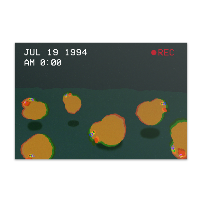 ポストカード(10枚セット) - ヴァンヌーボVGスノーホワイト195kg