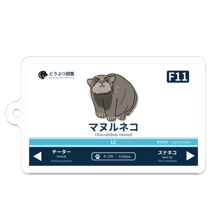 マヌルネコ