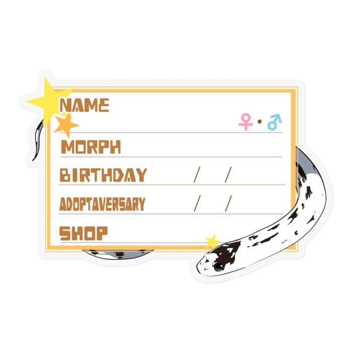 【🐍お名前ステッカー】カリキン(ハイホワイト) ‐星(英語)