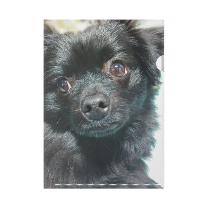 Pixiv 黒犬 黒犬使い Pixiv