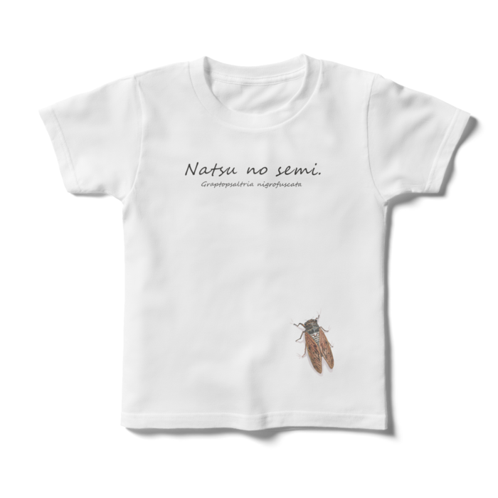 夏の蝉（アブラゼミの学名入り） - キッズTシャツ - 120cm