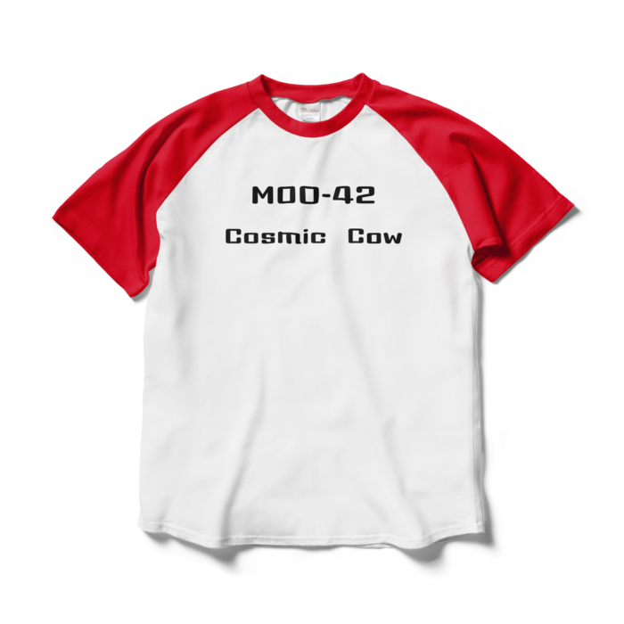 ラグランTシャツ - L - ホワイト×レッド(2)