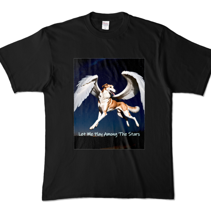 カラーTシャツ - XL - ブラック (濃色)