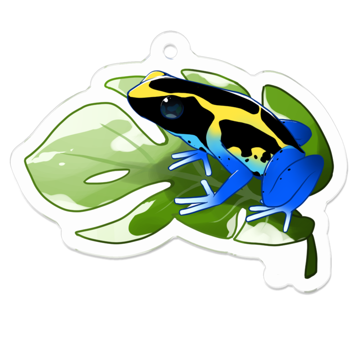 【ヤドクガエル🐸アクキー(Ａ)】(アイゾメ) 5cm