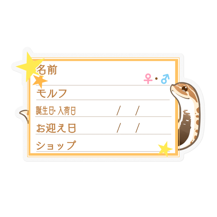 【🐍お名前ステッカー】シシバナ(アナコンダ) ‐星