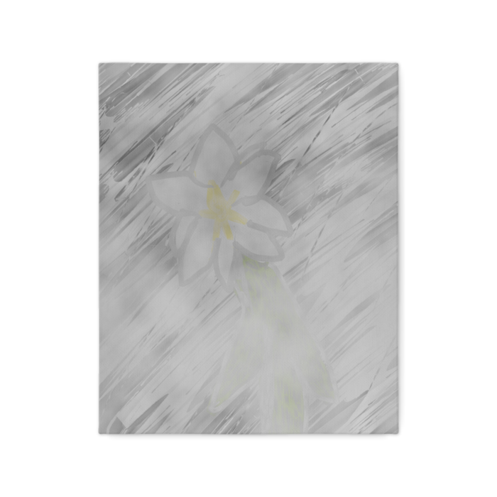 キャンバス - F3