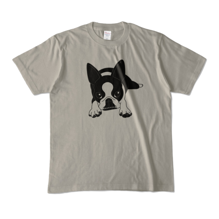 カラーTシャツ - M - シルバーグレー (淡色)