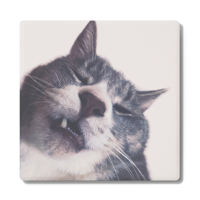 コースター - 角形