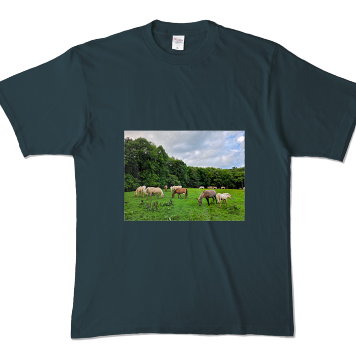 カラーTシャツ - XL - デニム (濃色)