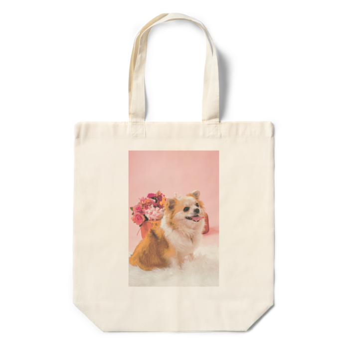 エコバッグ - 360×370×110(mm)