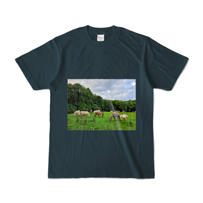 カラーTシャツ - S - デニム (濃色)