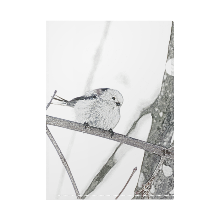 クリアファイル - A4