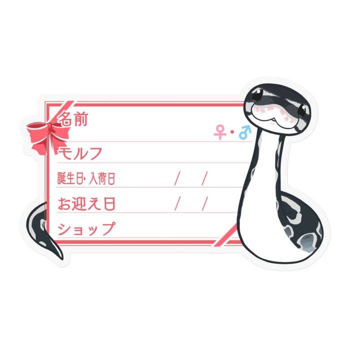 【🐍お名前ステッカー】ボールパイソン(アザン)-リボン／ピンク