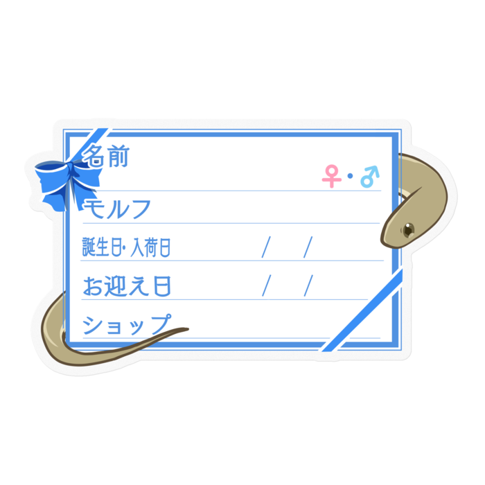 【🐍お名前ステッカー】ガンスタマゴヘビ ‐リボン／ブルー