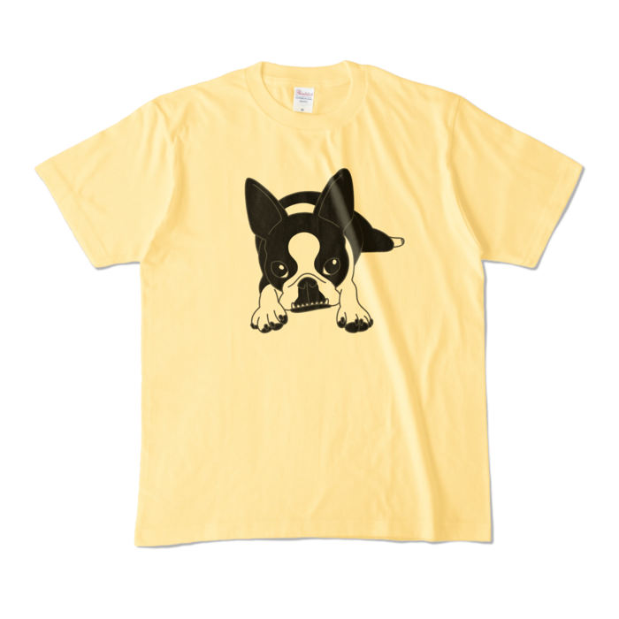 カラーTシャツ - M - ライトイエロー (淡色)