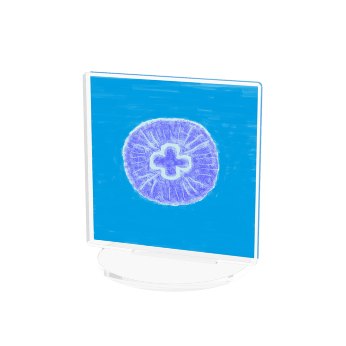 アクリルフィギュア - 100x100mm