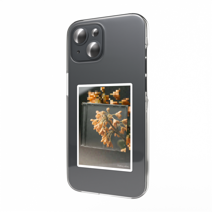 10: Sweet Osmanthus (金木犀)