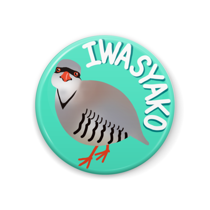 オリジナル イワシャコの缶バッジ 鳥 Wataru Ishizaki Booth