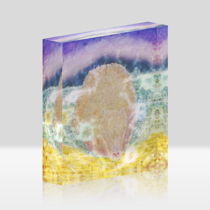 アクリルブロック - 100x100mm