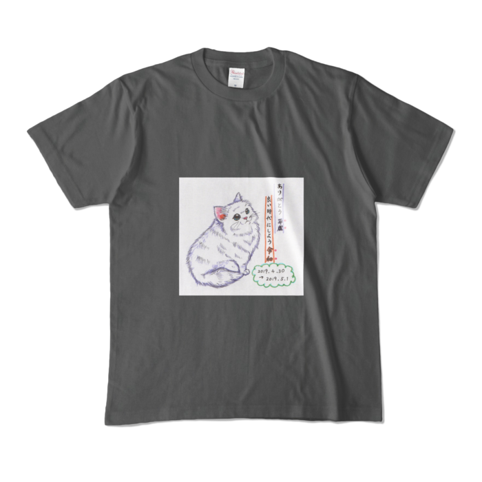 カラーTシャツ(濃色) - M - 正面 - チャコール
