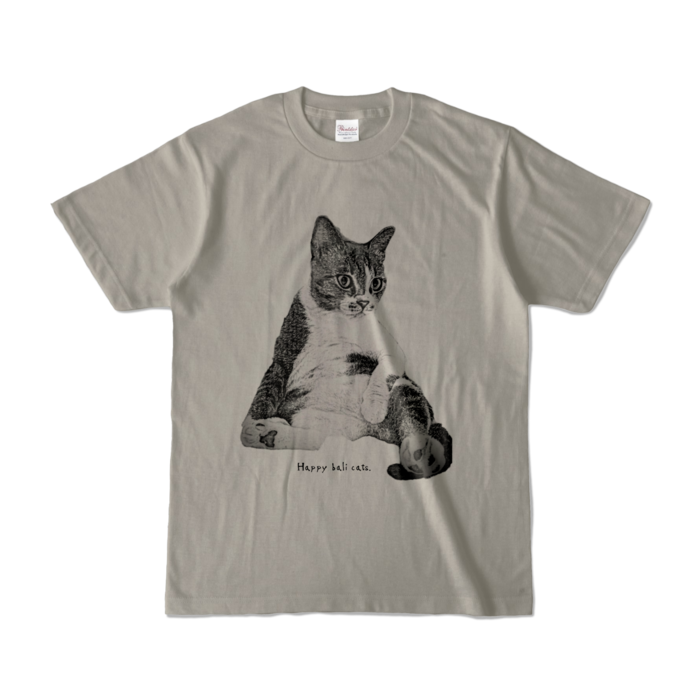 カラーTシャツ - S - シルバーグレー (淡色)
