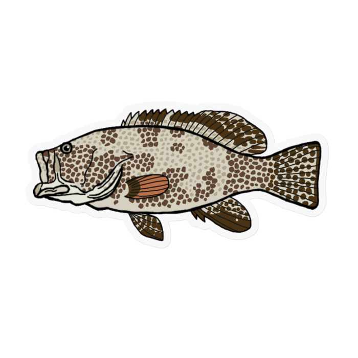 ステッカー - 100 x 100 (mm)