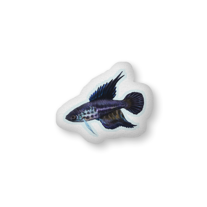 ふかふかクッション - 中（H36×W56cm） - 両面