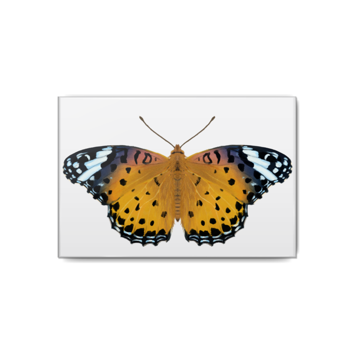 缶バッジ - 80x54mm