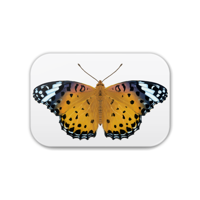 缶バッジ - 角丸 76x51mm