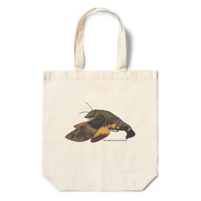 エコバッグ - 360×370×110(mm)