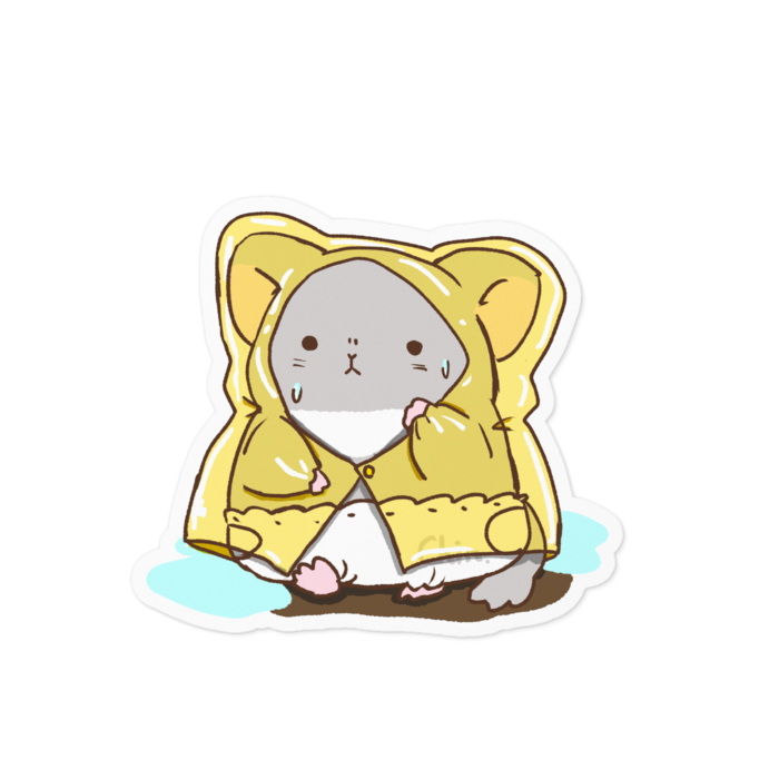 小雨