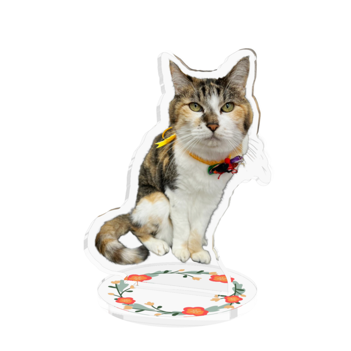 アクリルフィギュア - 70x70mm