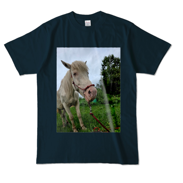 カラーTシャツ - L - ネイビー (濃色)