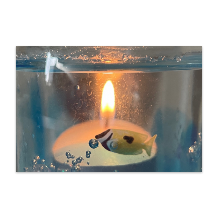 ポストカード(10枚セット) - ヴァンヌーボVGスノーホワイト195kg