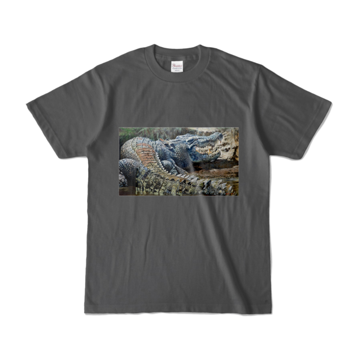 カラーTシャツ - S - チャコール (濃色)