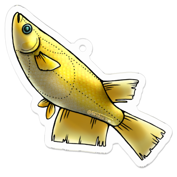 ヒカリ　ー　50 x 50㍉／コーティングあり