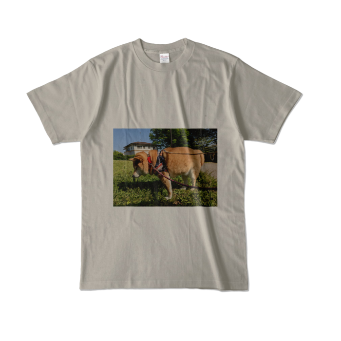 カラーTシャツ - L - シルバーグレー (淡色)