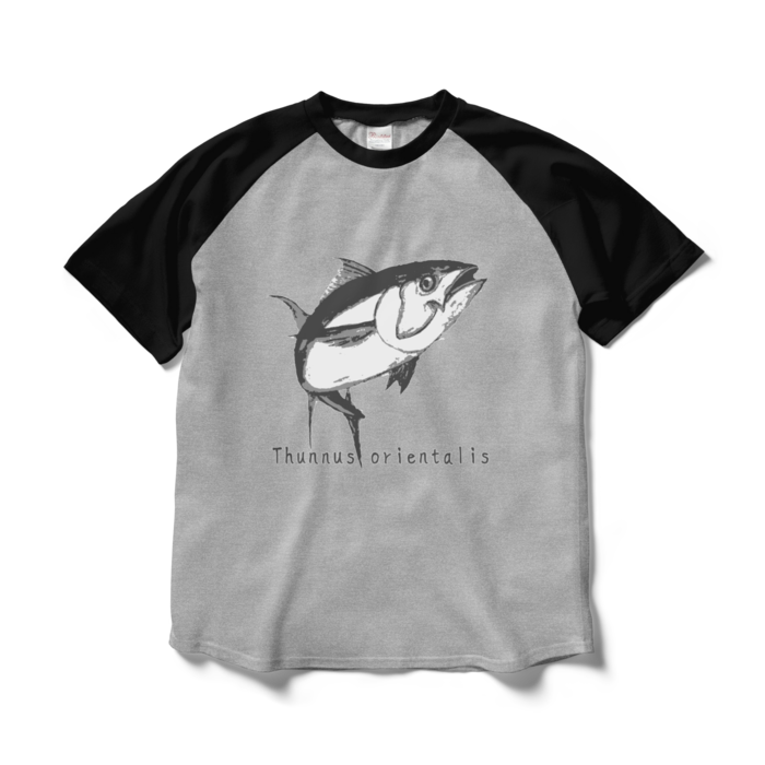 ラグランTシャツ - L - 正面