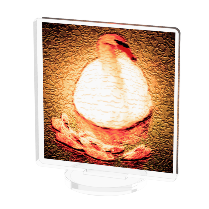 アクリルフィギュア - 50x50mm