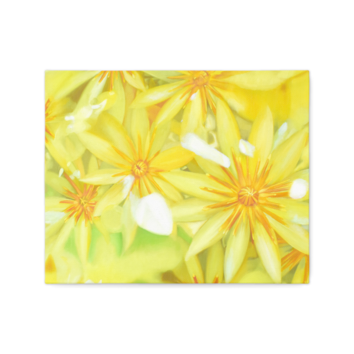 キャンバス - F3